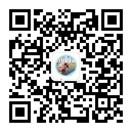关注我的公众号十一导航